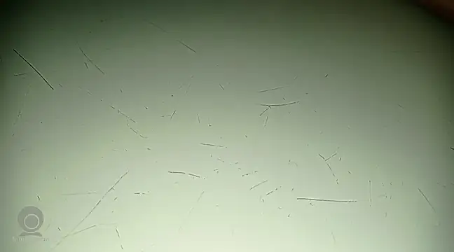 Snapshot of Just_for_trans chatting on 21, 2, 2025 Just for trans online show from 21, 2, 2025