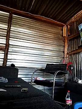 2soyte online show from 21, 4, 2026