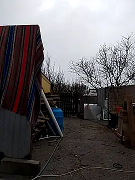 sarpe4 online show from 9, 11, 2025