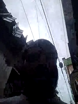 Dogol1990 online show from 8, 10, 2025