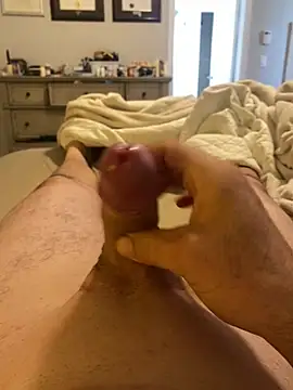 toyotagts online show from 26, 4, 2026