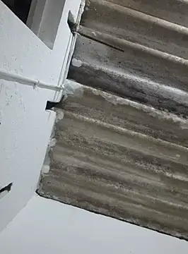 DAELAA online show from 18, 2, 2025