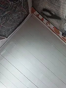 Toycockhot online show from 6, 3, 2025