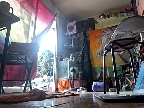 Toycockhot online show from 10, 3, 2025