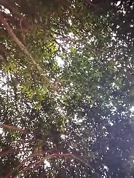 Snapshot of Brenda_Berck_ chatting on 5, 4, 2026 Brenda Berck online show from 5, 4, 2026