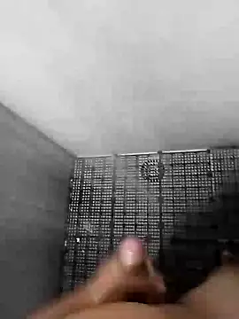 DGDAVASCO04 online show from 8, 8, 2026
