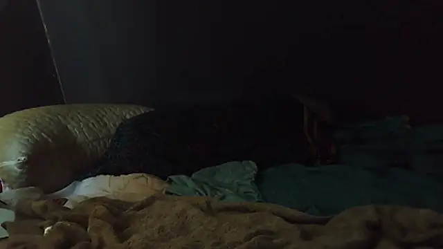 k-dong online show from 1, 2, 2026