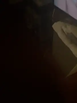 luanadigarda online show from 7, 1, 2026