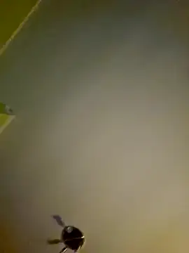 Snapshot of NiceHunter89 chatting on 12, 1, 2025 NiceHunter89 online show from 12, 1, 2025