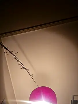 Snapshot of NiceHunter89 chatting on 5, 2, 2025 NiceHunter89 online show from 5, 2, 2025