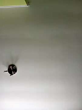 Snapshot of NiceHunter89 chatting on 20, 2, 2025 NiceHunter89 online show from 20, 2, 2025