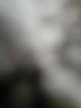 Snapshot of NiceHunter89 chatting on 15, 9, 2025 NiceHunter89 online show from 15, 9, 2025