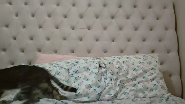 Snapshot of beautylovess chatting on 5, 2, 2026 beautylovess online show from 5, 2, 2026