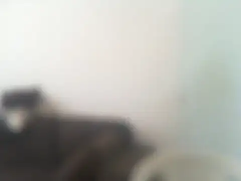 ConradinhoBR50 online show from 19, 4, 2026