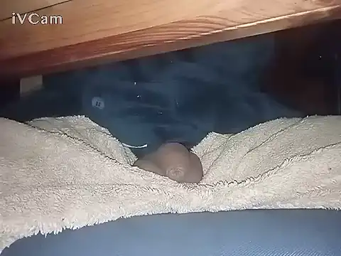 Snapshot of Bigdick666cm chatting on 6, 3, 2025 Bigdick666cm online show from 6, 3, 2025