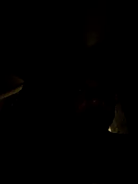 tropikboy online show from 21, 3, 2026