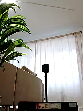 mister-dwt online show from 26, 2, 2025