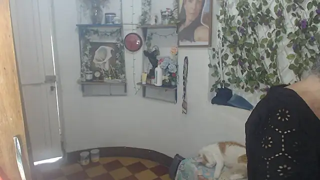 FunnyGrandma online show from 12, 7, 2026