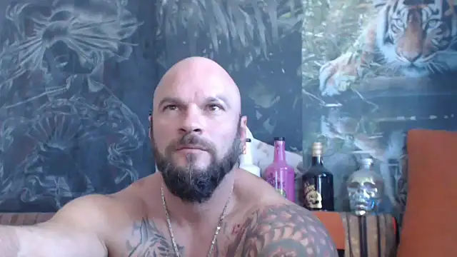 viking 30 online show from 16, 9, 2025