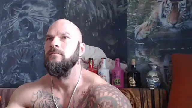 viking 30 online show from 2, 10, 2025