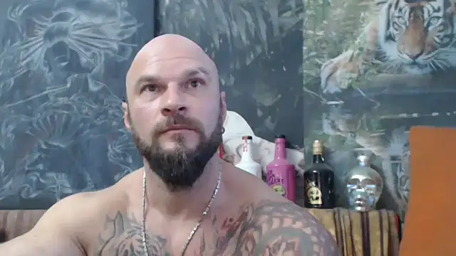 viking 30 online show from 4, 10, 2025