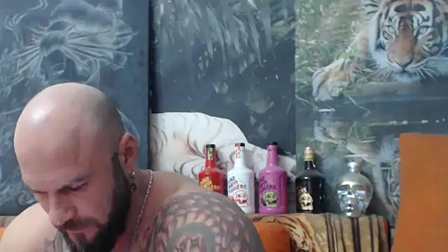 viking 30 online show from 6, 10, 2025