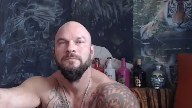 viking 30 online show from 8, 10, 2025