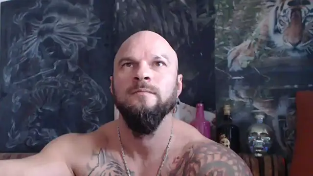 viking 30 online show from 9, 11, 2025