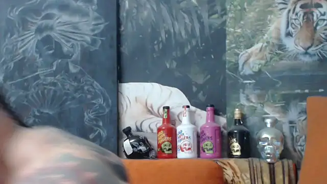 viking 30 online show from 27, 11, 2025