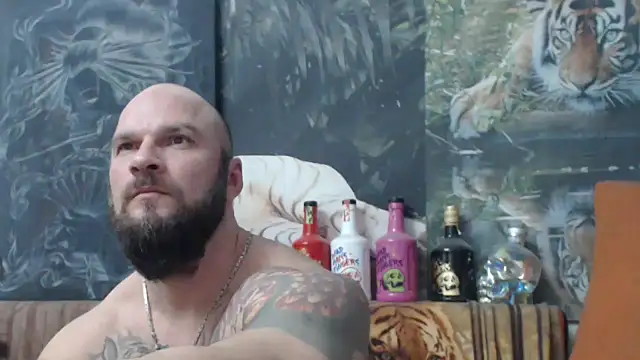 viking 30 online show from 4, 12, 2025