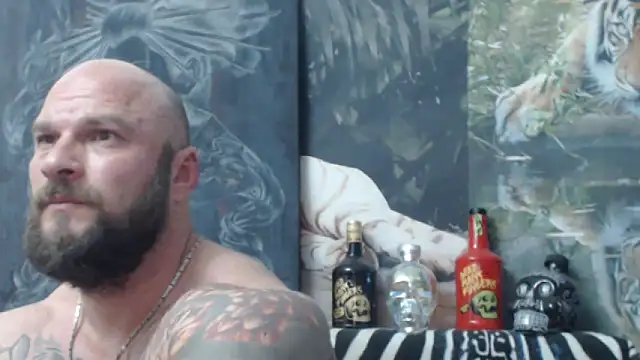 viking 30 online show from 28, 5, 2026