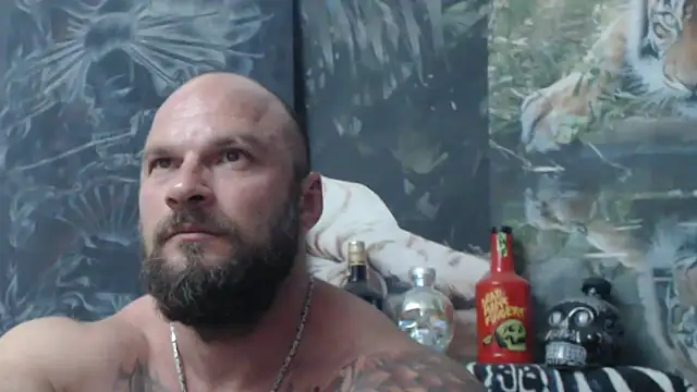 viking 30 online show from 22, 6, 2026