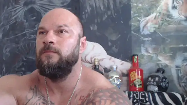 viking 30 online show from 24, 6, 2026