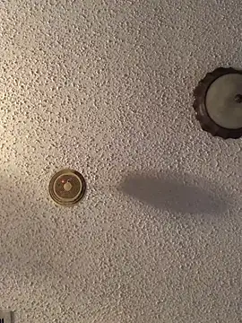 danieldonte online show from 23, 4, 2026