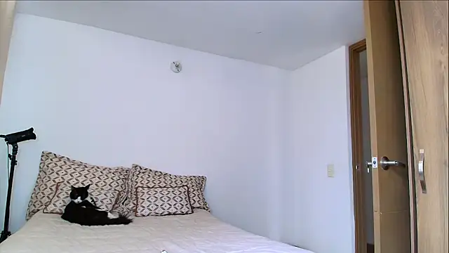 SARA TS FOX online show from 11, 2, 2026