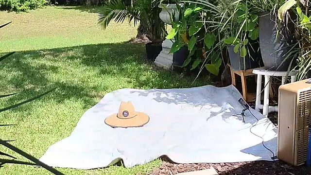 eliberator1777 online show from 21, 9, 2025