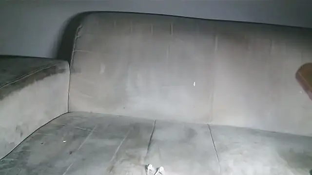 Snapshot of CORONALD chatting on 4, 11, 2025 CORONALD online show from 4, 11, 2025