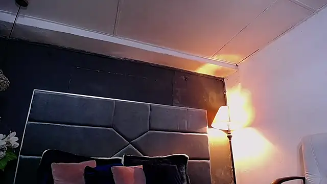 teddyfit19cm online show from 23, 10, 2025