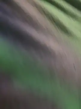 K100x online show from 15, 11, 2025