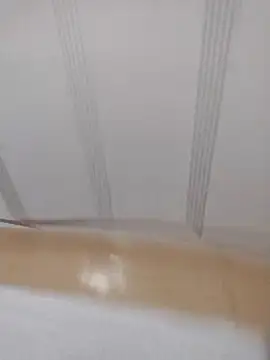 catdool online show from 3, 2, 2025