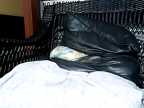 HungHawaiian808xh online show from 4, 3, 2025