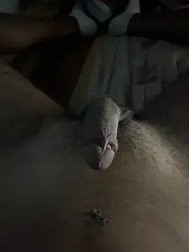 mamoubz online show from 3, 11, 2025