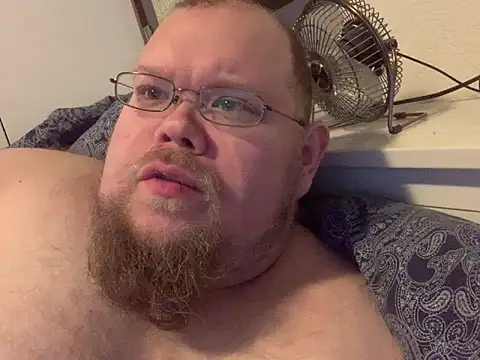 JefBear online show from 28, 12, 2024