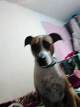 JoLeNe27 online show from 6, 10, 2025