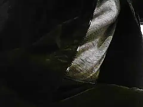 papiculo86 online show from 29, 1, 2025