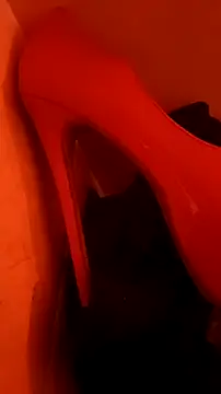 Misspadrona88 online show from 2, 12, 2025