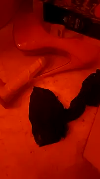 Misspadrona88 online show from 1, 3, 2026