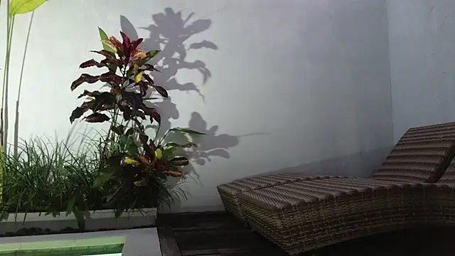 TammiLou online show from 6, 3, 2025