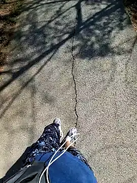 Ssk10N online show from 16, 4, 2026