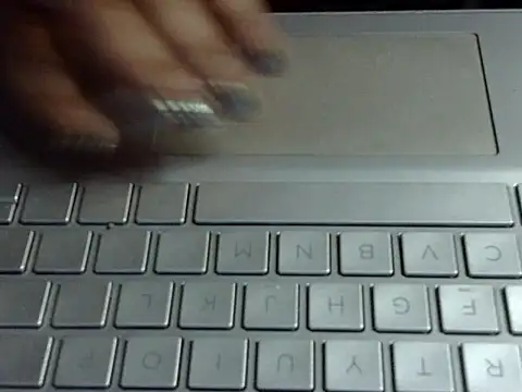 Your wild Dia online show from 23, 2, 2026